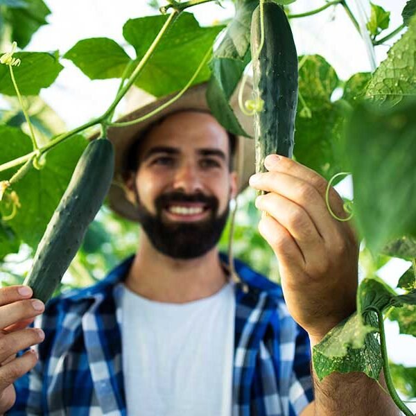 organic4 organic4