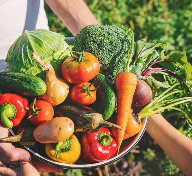 organic7 organic7