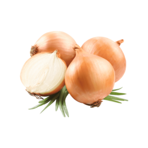 Fresh White Onion