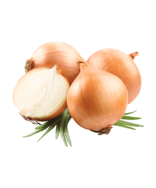 Untitled (255 x 306 px) (591 x 615 px) (2)