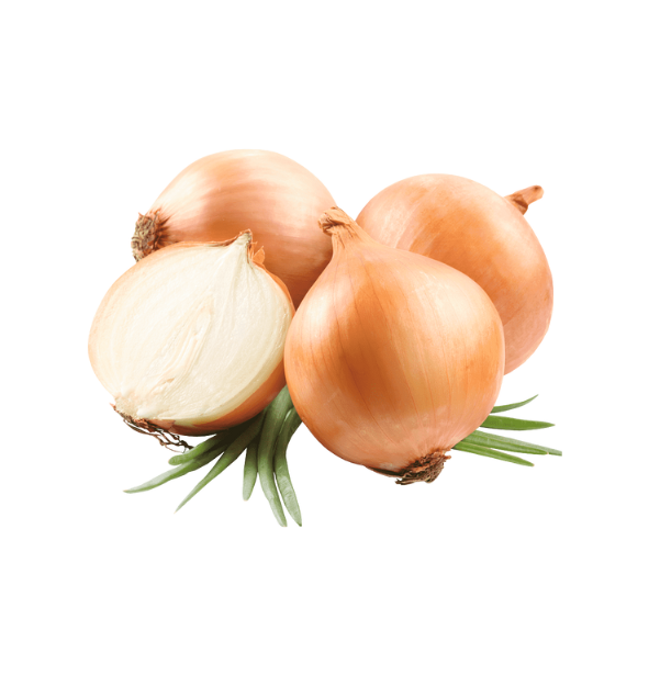 Fresh White Onion