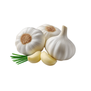 Fresh Garlic