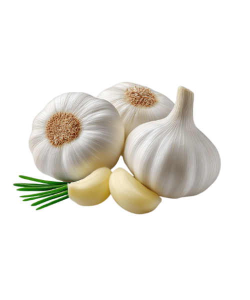 Untitled (255 x 306 px) (591 x 615 px)